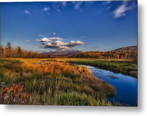  Metal Print featuring the photograph natural Beauty by Chuck Alaimo