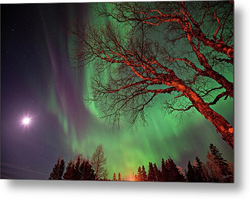 Colors Metal Print featuring the photograph Spirits of the Night #2 by Doug Gibbons