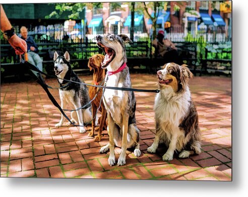 New York Metal Print featuring the painting New York City Dog Walking by Christopher Arndt