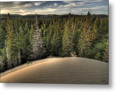 Lake Superior Metal Print featuring the photograph Pic Dunes  by Doug Gibbons