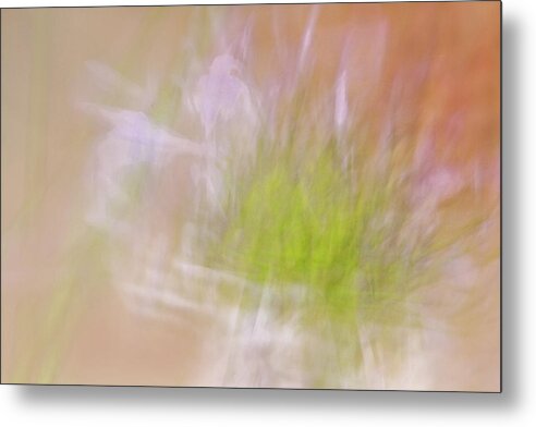 Radial Blur Metal Print featuring the photograph Promise of a Flower by Cheryl Day