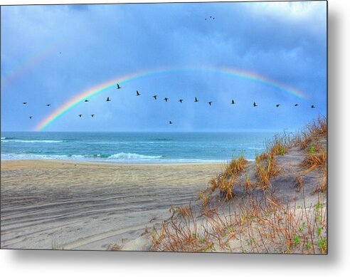North Carolina Metal Print featuring the photograph Rainbows and Wings I by Dan Carmichael