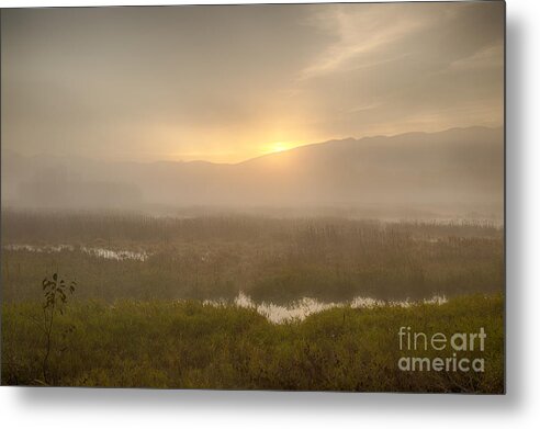 Bonners Ferry Metal Print featuring the photograph Refuge by Idaho Scenic Images Linda Lantzy