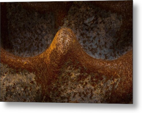 Rust Metal Print featuring the photograph Rustwave by WB Johnston