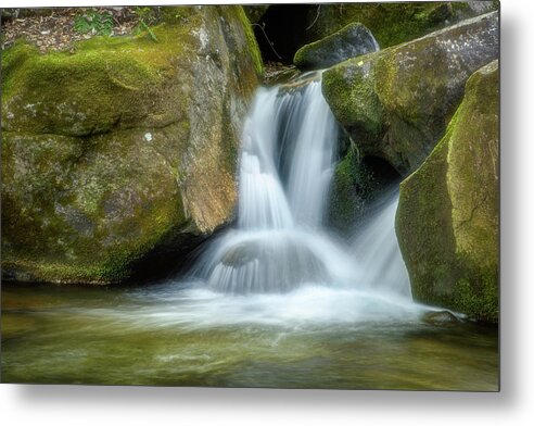 Landscape Metal Print featuring the photograph South Mtn State Park 2 by Joye Ardyn Durham