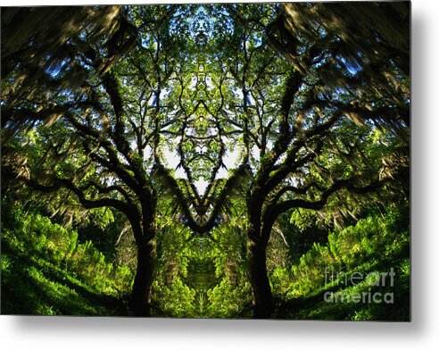 Altered Reality Metal Print featuring the photograph Spanish Moss by Roger Monahan