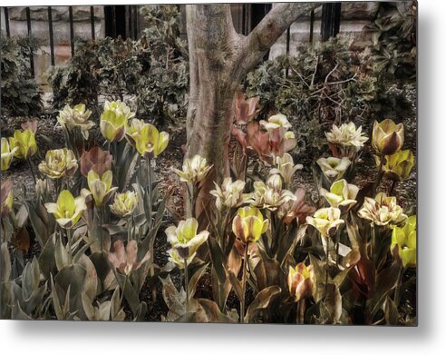 Spring Flowers Metal Print featuring the photograph Spring Flowers by Joann Vitali