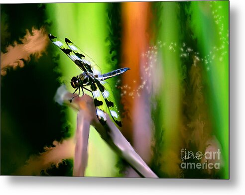 Dragonfly Metal Print featuring the photograph Striped Dragonfly by Lisa Redfern