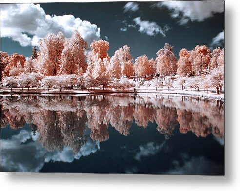 Infrared Metal Print featuring the photograph Surreal Trees by Deborah Ritch