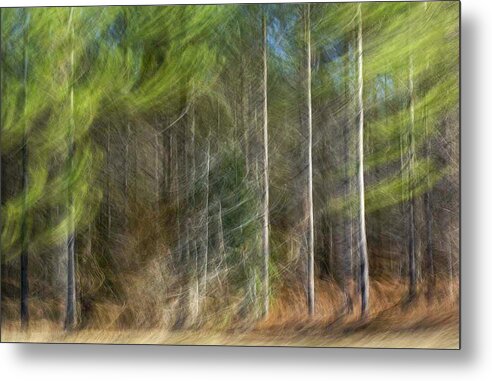 Landscape Metal Print featuring the photograph Three Pines by Gerald Grow