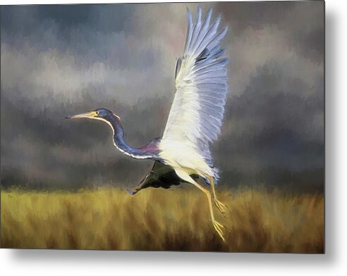 Tricoloured Heron Metal Print featuring the photograph Time To Go by Donna Kennedy