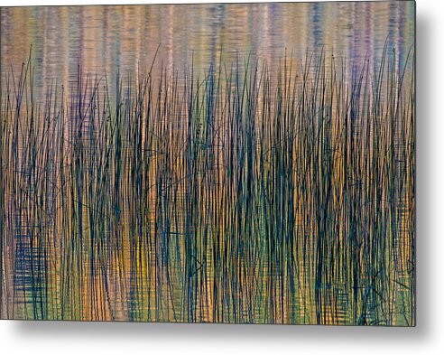 Canada Metal Print featuring the photograph Tranquility by Doug Gibbons