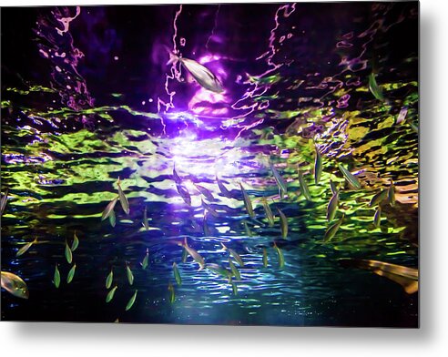 Under Water Metal Print featuring the photograph Under The Rainbow by Az Jackson