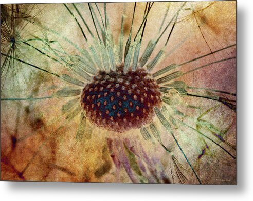 Seeds Metal Print featuring the photograph Unseeded 4 by WB Johnston