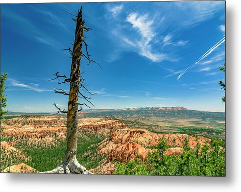 America Metal Print featuring the photograph Bryce Canyon NP - Bryce Point by ProPeak Photography