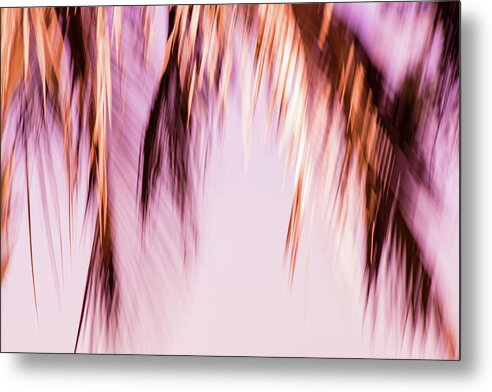 55 Metal Print featuring the photograph 55 - Gypsy Hair Pink by Jessica Yurinko
