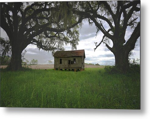 Florida Metal Print featuring the photograph Just Me and the Trees by Kelly Gomez