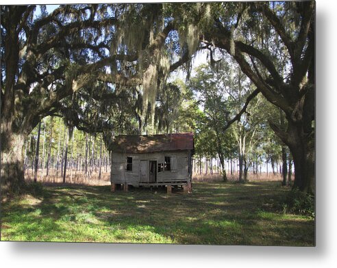 Florida Metal Print featuring the photograph Resting Under the Big Shade Trees by Kelly Gomez