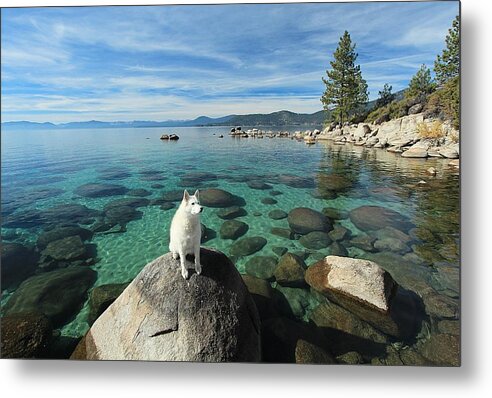 Lake Tahoe Metal Print featuring the photograph Shining Star by Sean Sarsfield
