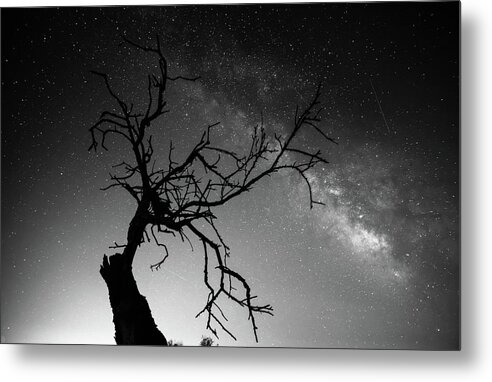 Black Metal Print featuring the photograph Reaching for the stars #1 by Gary Browne