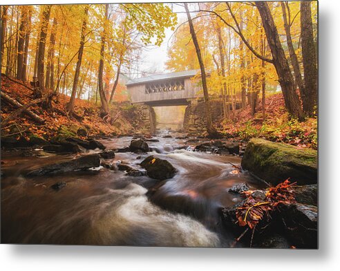 Brook Metal Print featuring the photograph Tannery HIll Covered Bridge #8 by Robert Clifford