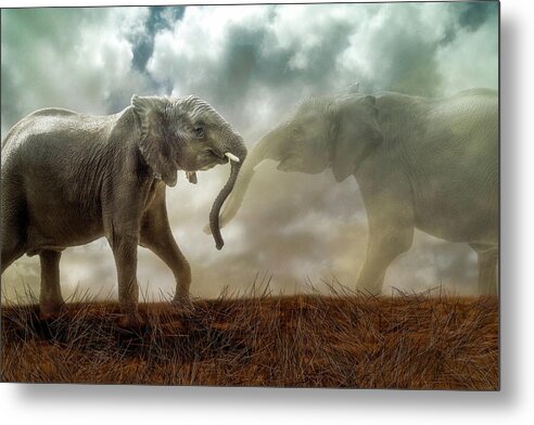 Elephant Metal Print featuring the digital art An Elephant Never Forgets by Nicole Wilde