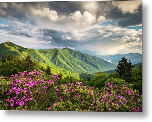North Carolina Metal Poster featuring the photograph Asheville NC Blue Ridge Parkway Spring Flowers by Dave Allen