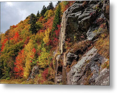 Autumn Metal Print featuring the photograph Autumn on the Mountain by Dan Carmichael