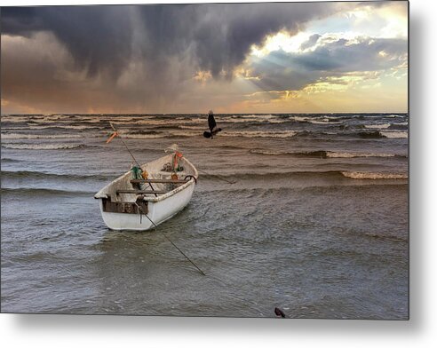 Photography Metal Print featuring the photograph Autumnal seascape with flying crow Jurmala by Aleksandrs Drozdovs