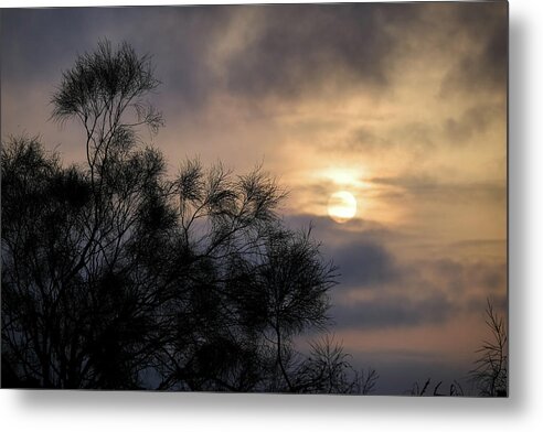 Sunrise Metal Print featuring the photograph Calima by Gary Browne