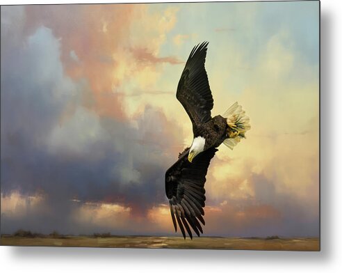 Bald Eagle Metal Print featuring the photograph Coming Down To Earth by Jai Johnson