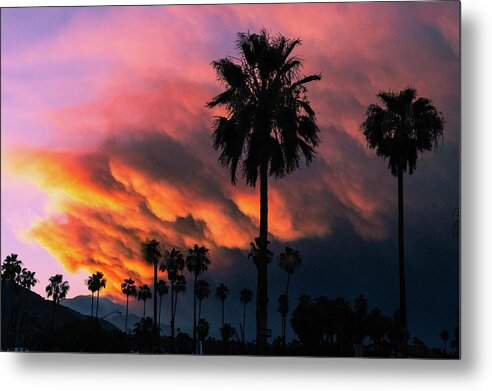 Vivid Metal Print featuring the photograph Desert Monsonial Sky, Palm Tree Silhouette by Bonnie Colgan
