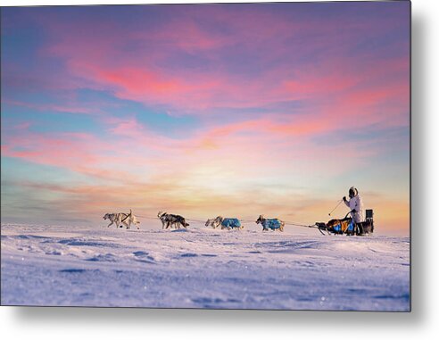 Alaska Puzzle Metal Print featuring the photograph Dog Team Puzzle by Scott Slone