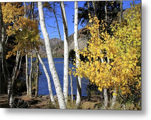 June Lake Metal Print featuring the photograph Down By The Lake by Donna Kennedy