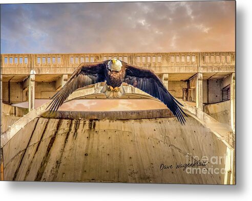 Eagle Metal Print featuring the photograph Eagle at Sunset by David Wagenblatt