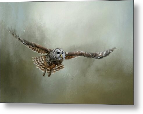 Barred Owl Metal Print featuring the painting Go Toward The Light by Jai Johnson