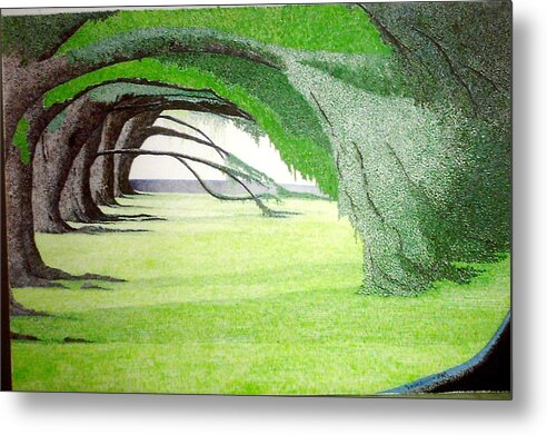 Group Bonsai Metal Print featuring the painting Grove Illusion by A Robert Malcom