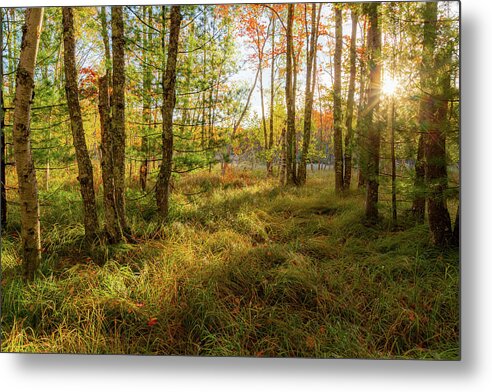Acadia Metal Print featuring the photograph Jesup Trail Sunrise #6 by Bryan Bzdula