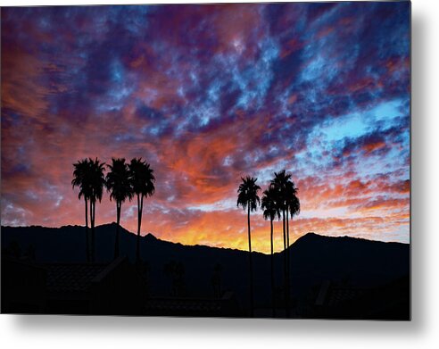 Sunset Metal Print featuring the photograph Luminous Desert Sunset Skies Behind Palm Trees, Palm Desert California by Bonnie Colgan