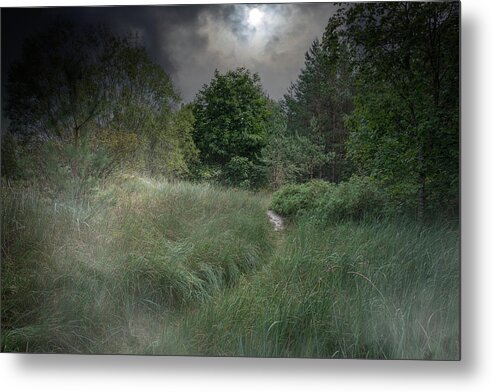 Misty Metal Print featuring the photograph Misty River In The Latvian Countryside by Aleksandrs Drozdovs