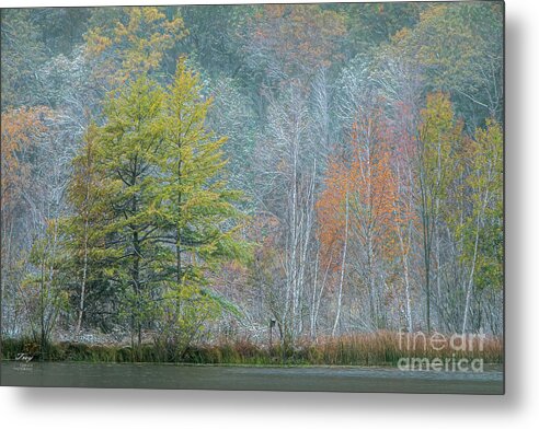 Trees Metal Print featuring the photograph October Early Snow by Trey Foerster