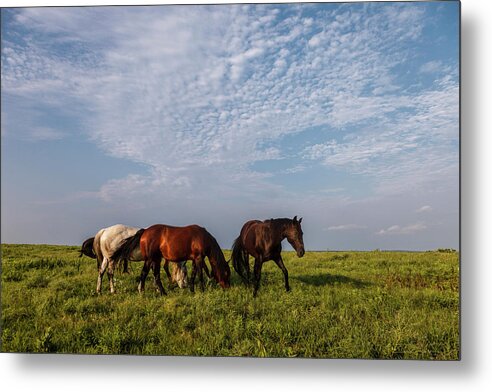 America Metal Print featuring the photograph On The Prairie by Scott Bean