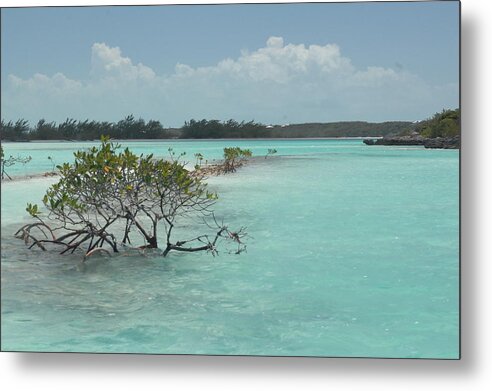 Caribbean Metal Print featuring the photograph Caribbean Paradise in Turquoise Waters, Exuma Bahamas by Bonnie Colgan