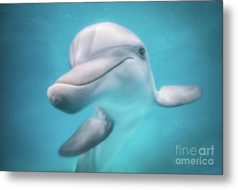 Clearwater Metal Print featuring the photograph Somefin Special by John Hartung  ArtThatSmiles com