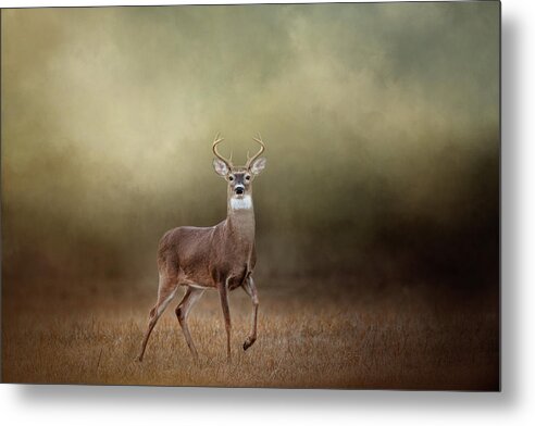 Deer Metal Print featuring the photograph Stepping Out by Jai Johnson