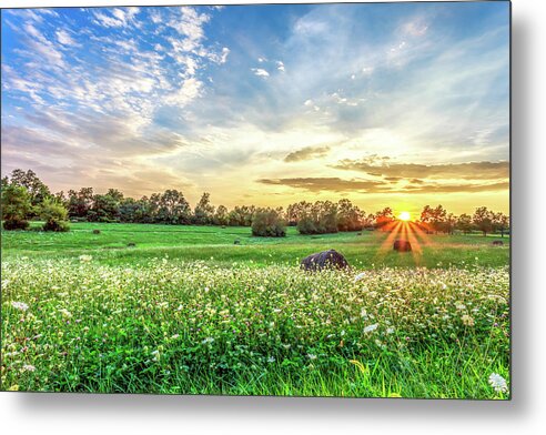  Metal Print featuring the photograph Sunburst by Ed Newell