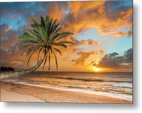 Sunset Beach Palm Hawaii North Shore Ocean Water Metal Print featuring the photograph Sunset Beach Palm by Leonardo Dale