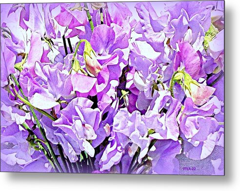 Sweetpeas Metal Print featuring the photograph Sweetpeas-2 - AuNaturel by VIVA Anderson