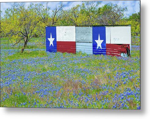 Texas Flag Metal Print featuring the photograph Texas by Terry Walsh
