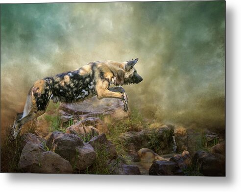 African Wild Dog Metal Print featuring the digital art The Leap by Nicole Wilde